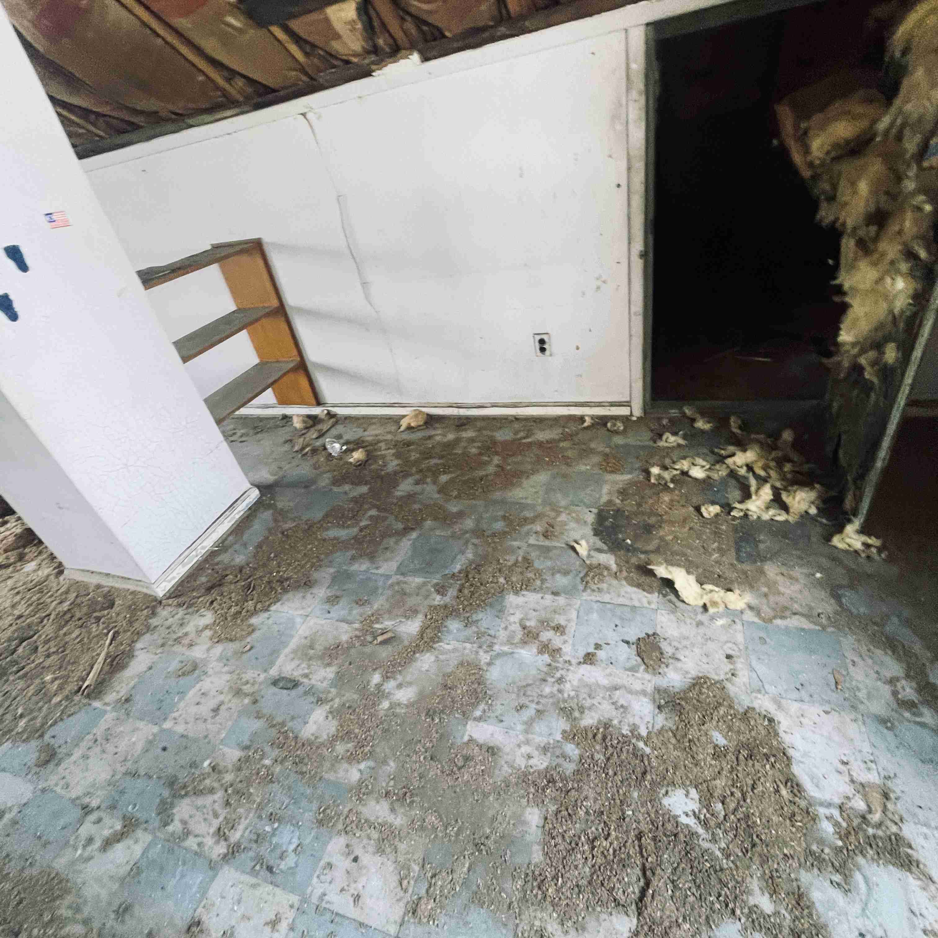 19220 Albany St (45).jpg